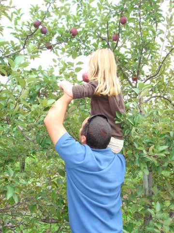 Picking Nice Apples