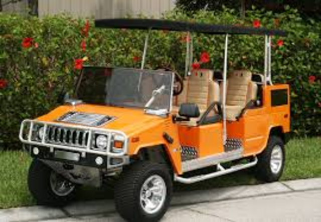 Recivido mi  primera golf carrito.