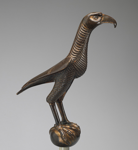 Falcon from Southern Italy