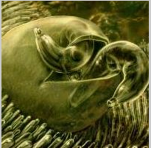 Cryptosporidium Kills 100 People