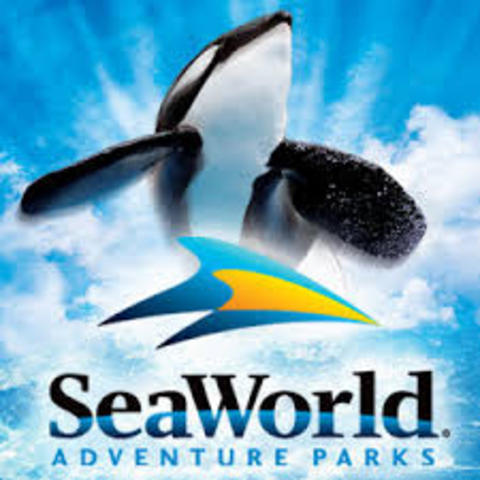 Yo viajé a Sea World