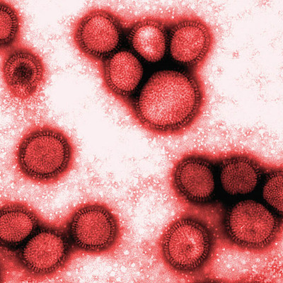 Timeline: Spanish Influenza