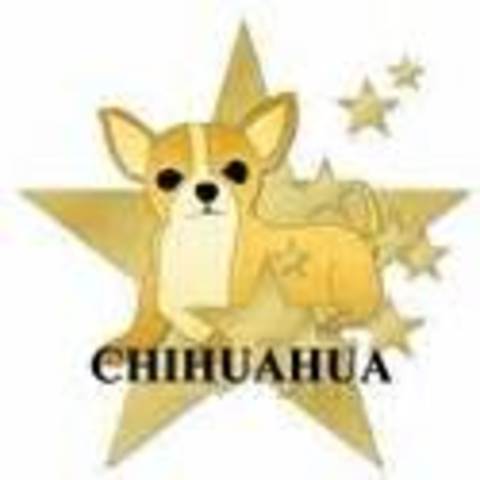 Conseguí mi primero perro.