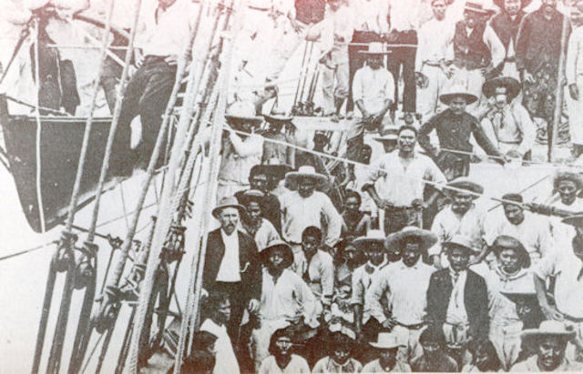 First Pacific Islanders To New South Wales