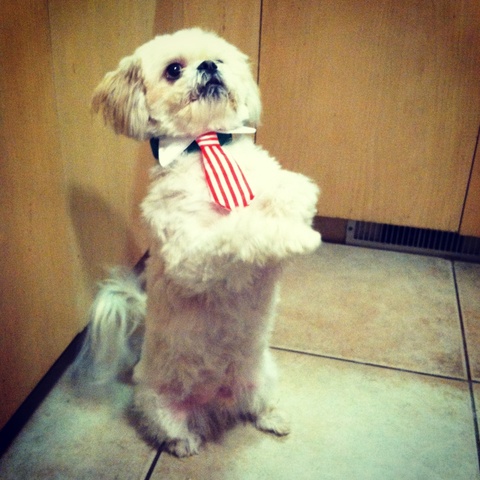 gewannen, trug, drehte