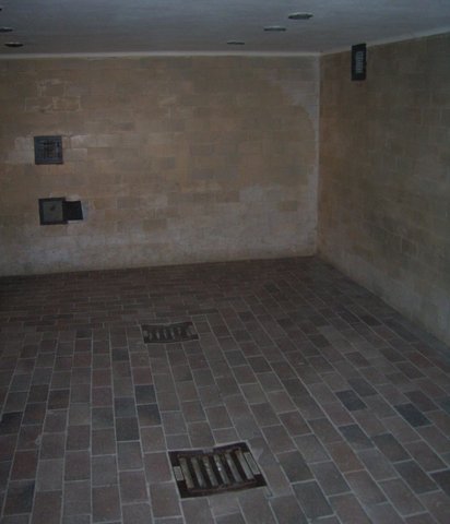 gas chamber opened by natzis chap 18 sec 3