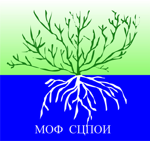 Конкурс был объявлен 4 марта