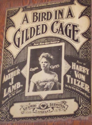 A Bird in a Gilded Cage