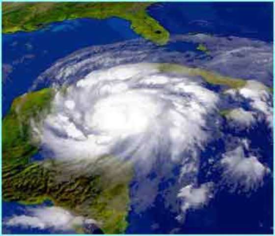 U.S. Exports Food to Cuba