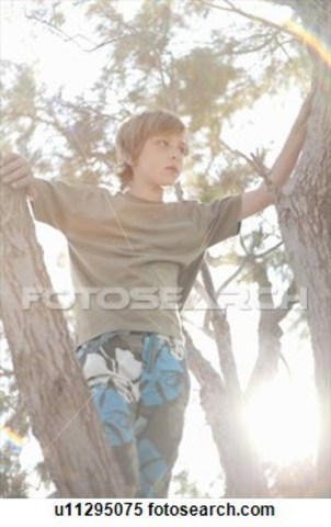 12 MIDDLE YEARS (Cognitive ) (Social)