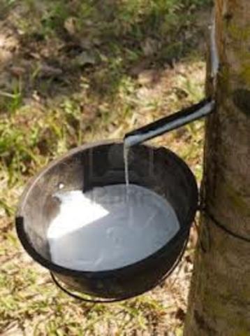 Brazil has exported 80,000 tons of latex