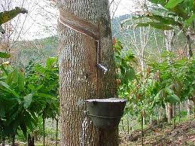 Brazil's first rubber boom was ending