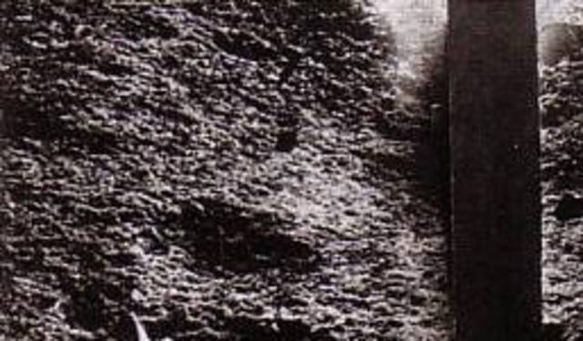 3 февраля 1966 — АМС Луна-9 совершила первую в мире мягкую посадку на поверхность Луны, были переданы панорамные снимки Луны.