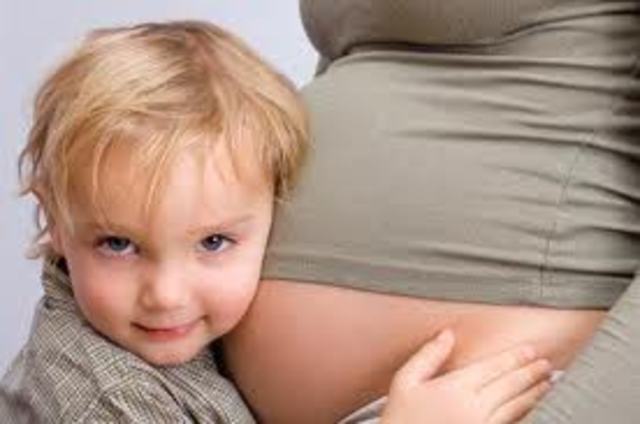 el bebe en el estomaago de la madre