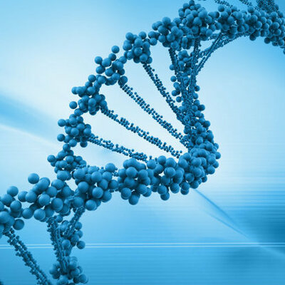 Timeline: Acotencimientos DNA