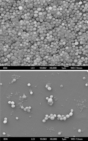 Hidrogeles poliméricos.Biomateriales.