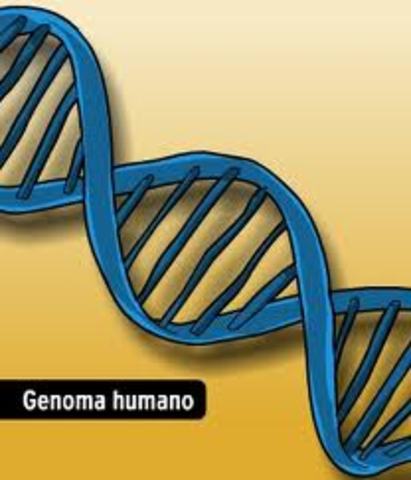Se completa el Genoma Humano