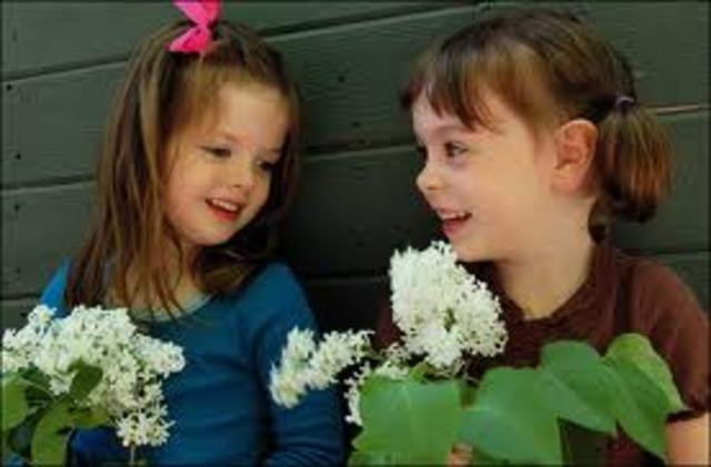 Middle Childhood- Gender Segregation