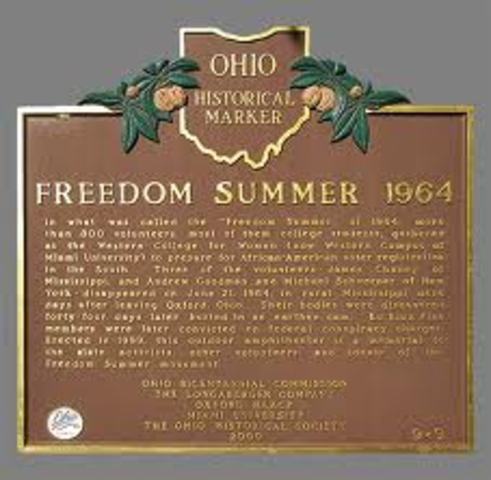 Freedom Summer
