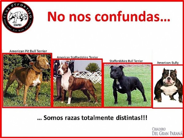 Reconocimiento de la raza