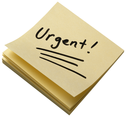 ELD supplementals available