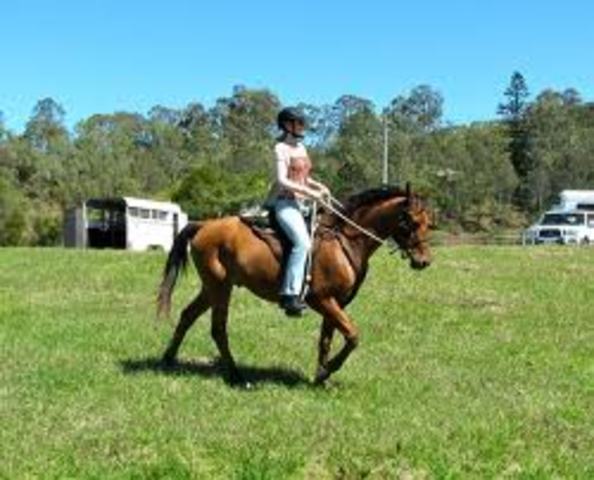 Als ich 12 jahre alt war,