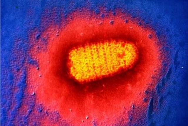 The rabia and the child