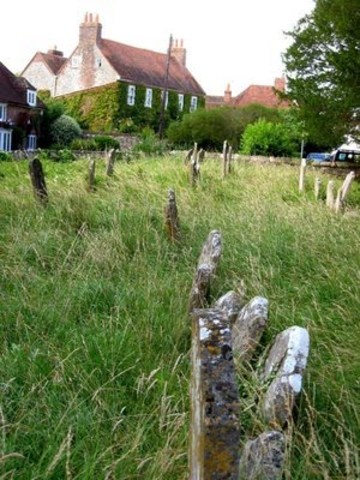 Ellegy Written in a Country Churchyard