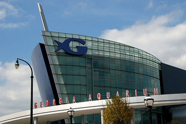 Georgia Aquarium