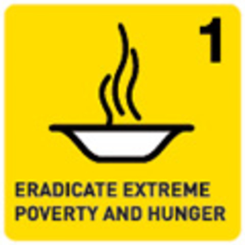 Goal 1: Halve, between 1990 and 2015, the proportion of people whose income is less than $1 a day. Halve, between 1990 and 2015, the proportion of people who suffer from hunger.