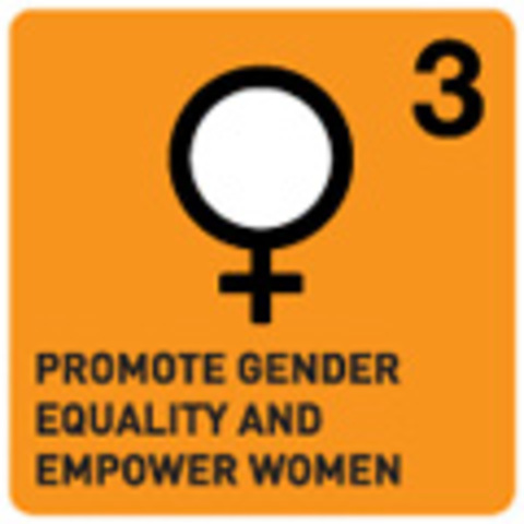 Goal 3: Eliminate gender disparity in primary and secondary education, preferably by 2005, and to all levels of education by no later than 2015.