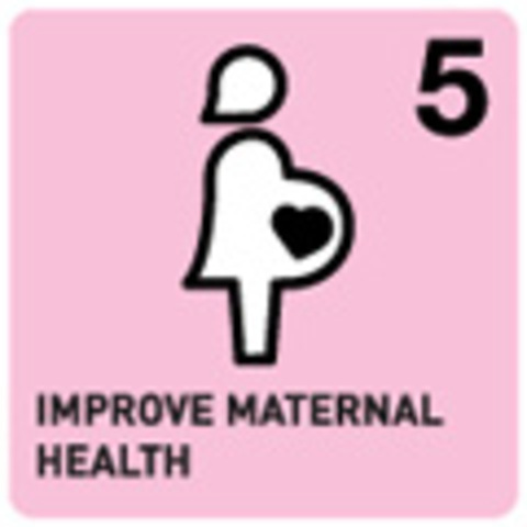 Goal 5 Incomplete: Reduce by three-quarters, between 1990 and 2015, the maternal mortality ratio.