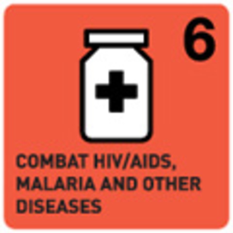 Goal 6 In Progress: Have halted by 2015 and begun to reverse the spread of HIV/AIDS. Have halted by 2015 and begun to reverse the incidence of malaria and other major diseases.