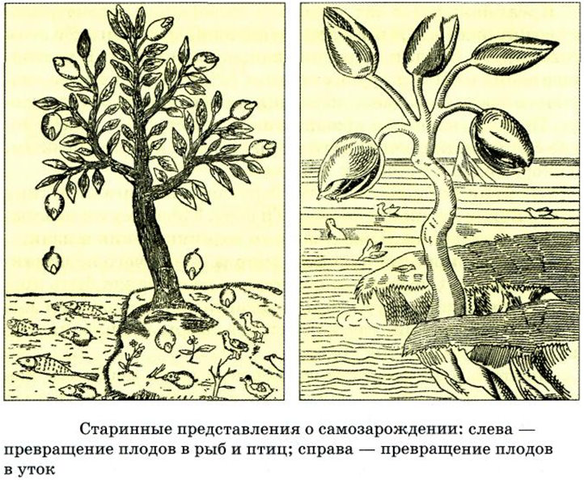 Теория самозарождения (Абиогенез)