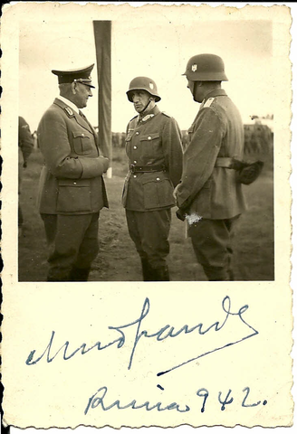 Envio de la division azul a Rusia para apoya Alemania