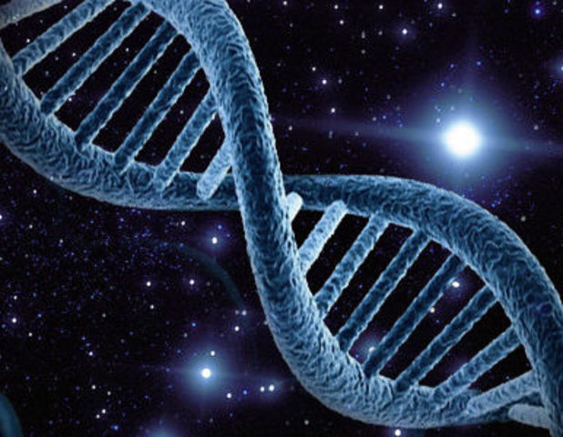 Instituto Médico Howard Hughes.