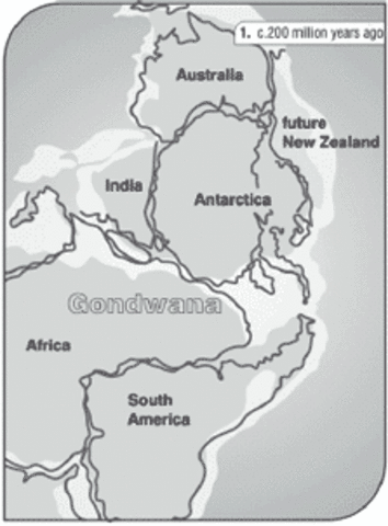 New Zealand became a self-governing colony