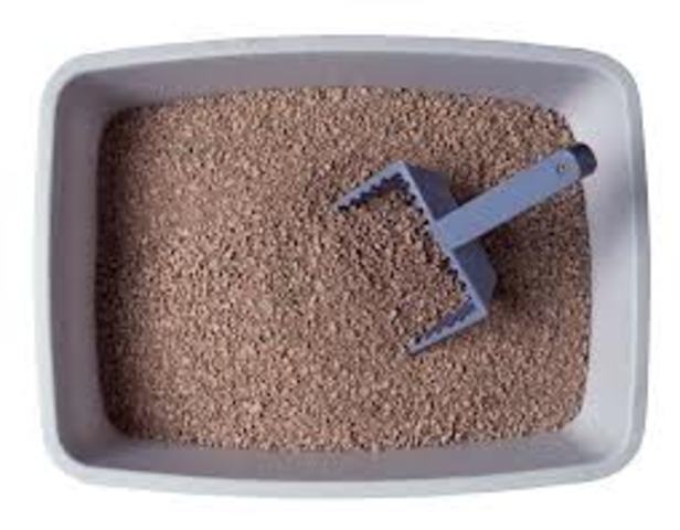 Cat Litter.
