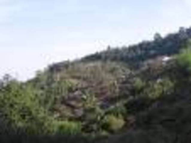 anti-landlord campaign