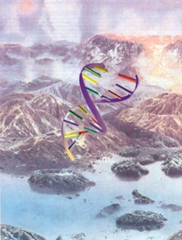 Возникновение жизни на Земле