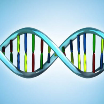 Timeline: Genoma Humano