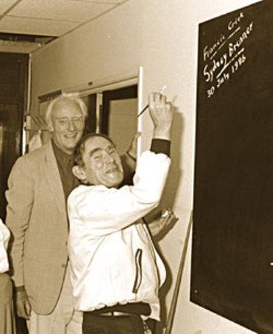 Brenner y Crick.El ADN manda.