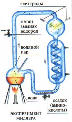 Эксперимент Миллера — Юри (Подтвеждение абиогенеза)