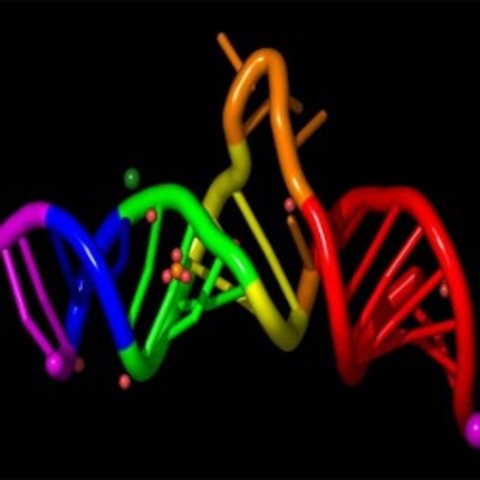 Теория " Мир РНК"