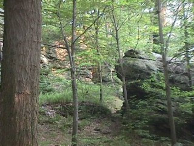 Battle of Jumoville Glen