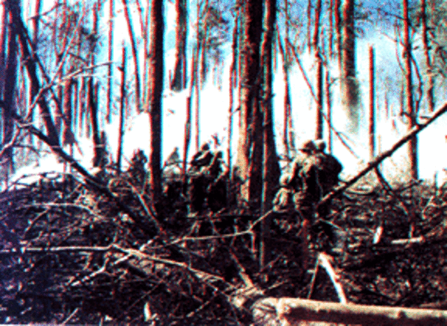 Bloody Battle near Dak To