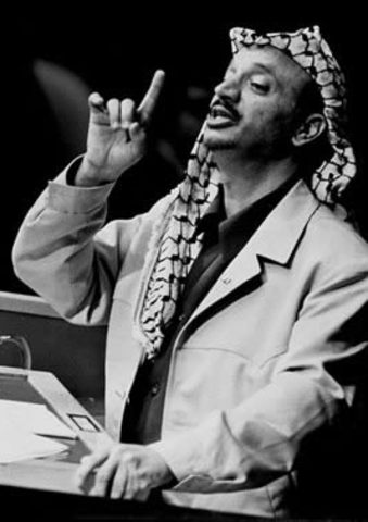 Reconocimiento OLP representante