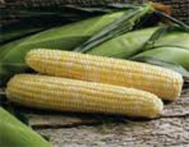 Corn