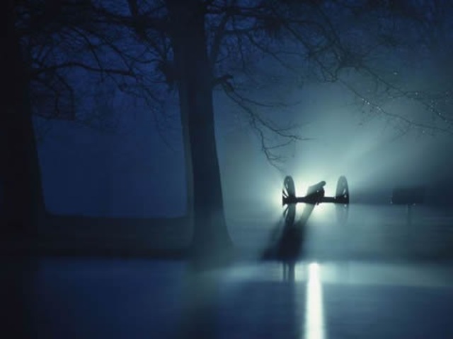 Do Not Go Gentle into That Good Night