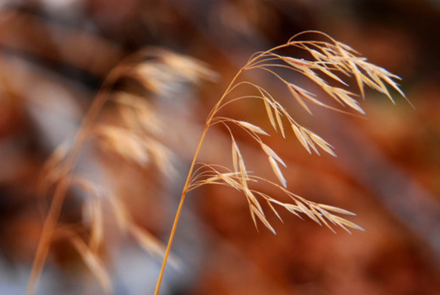 Ode to the West Wind